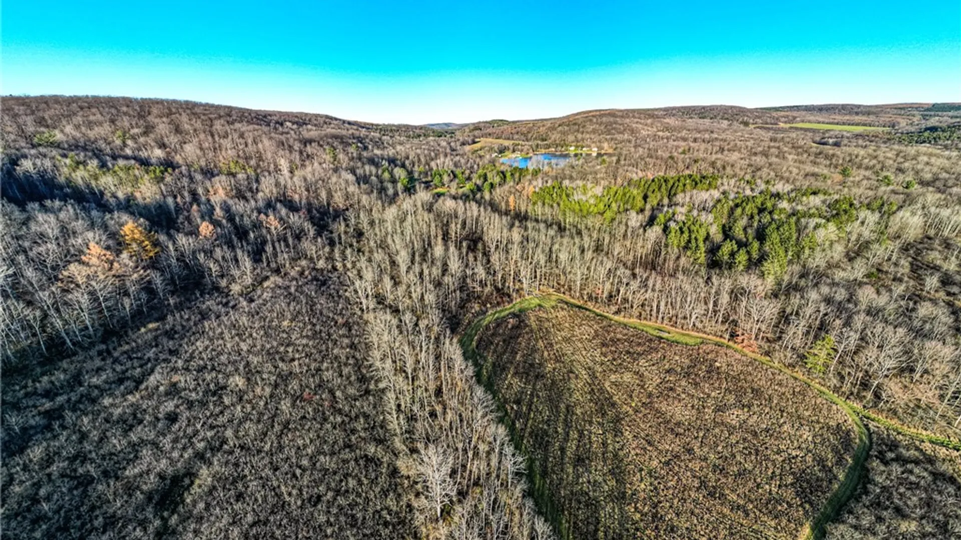 Property at 0 Ingraham Road, Amity, NY 14813 10