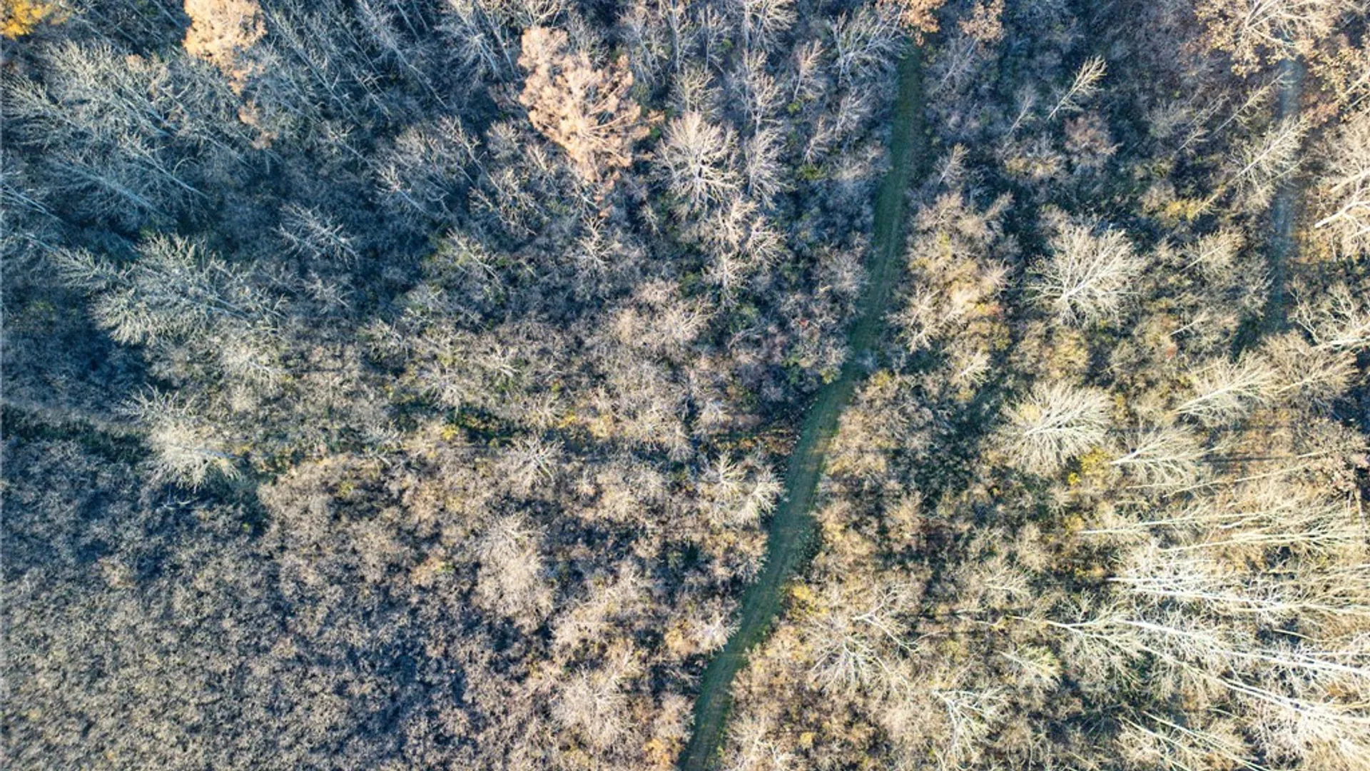 Property at 0 Ingraham Road, Amity, NY 14813 5