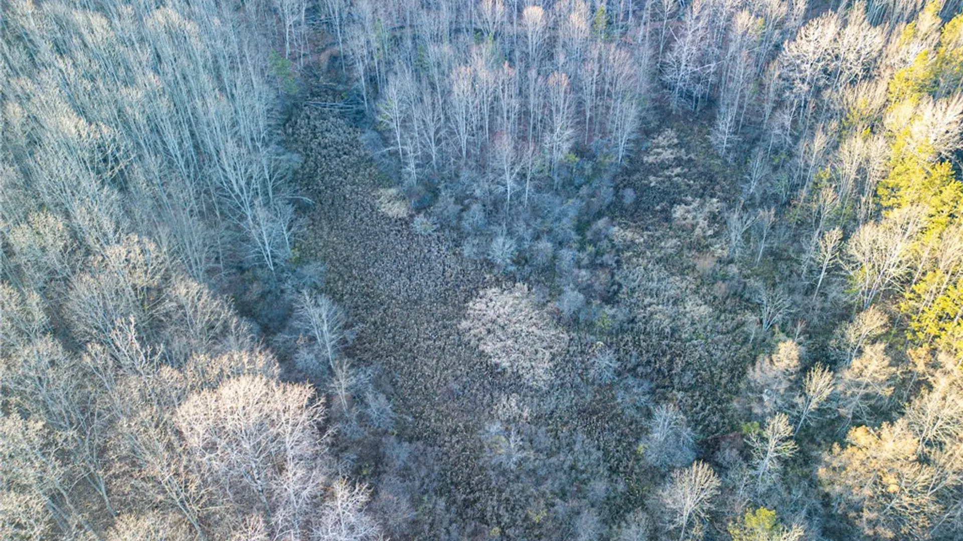 Property at 0 Ingraham Road, Amity, NY 14813 6