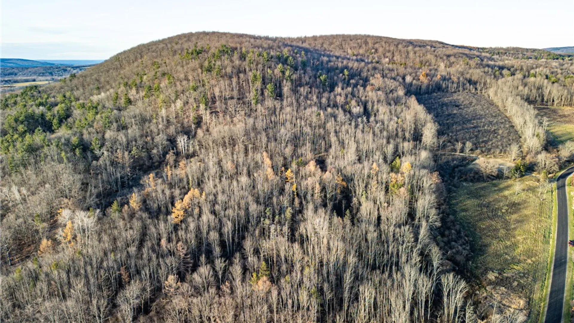 Property at 0 Ingraham Road, Amity, NY 14813 7