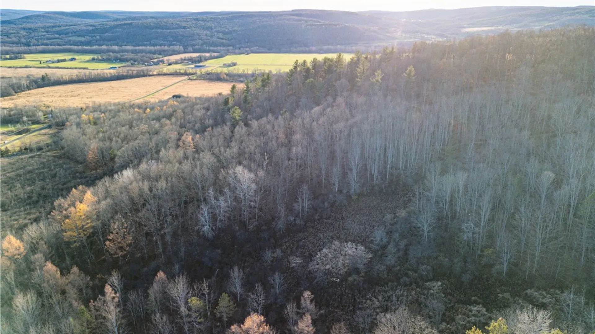 Property at 0 Ingraham Road, Amity, NY 14813 8