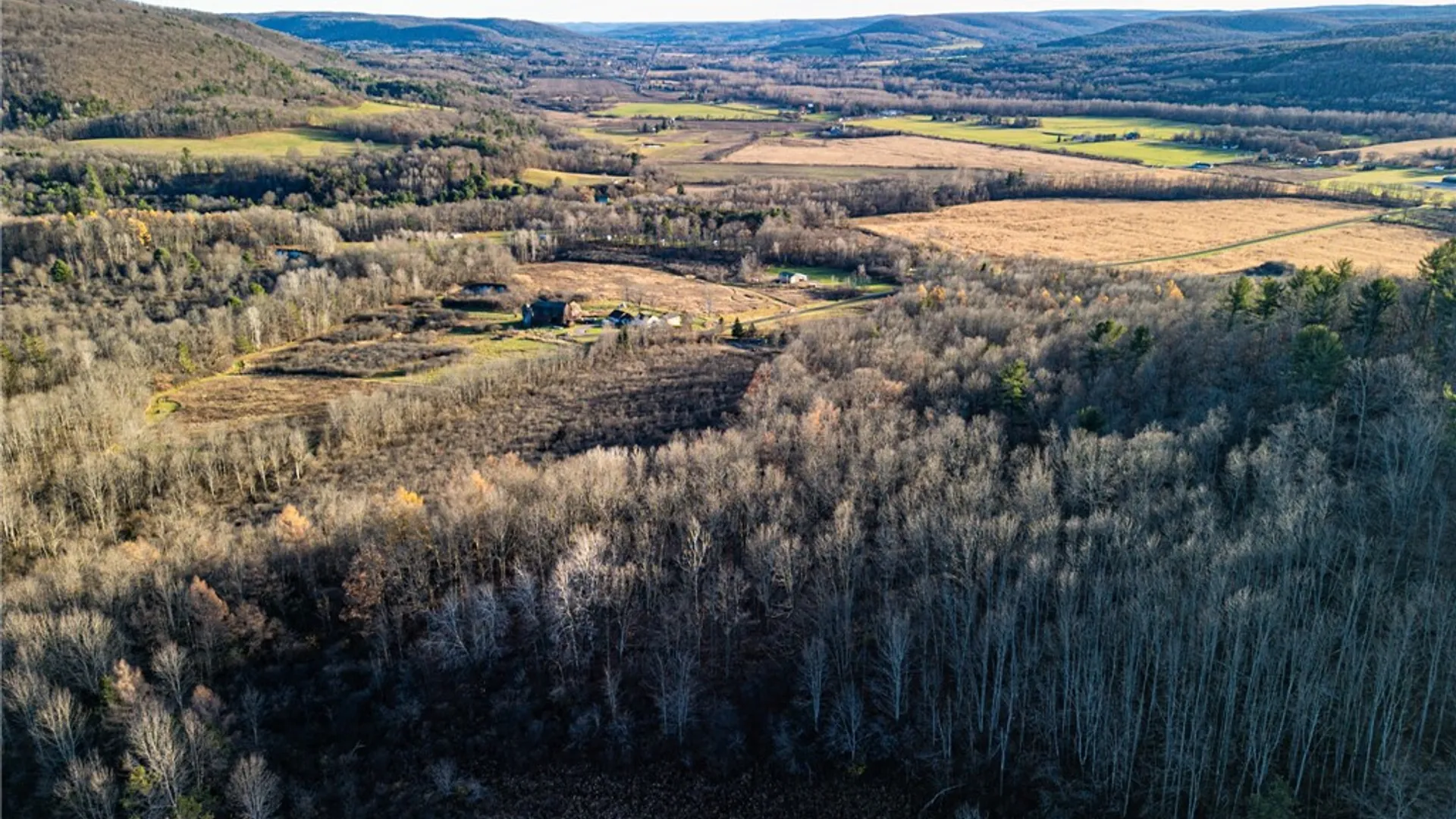 Property at 0 Ingraham Road, Amity, NY 14813 9