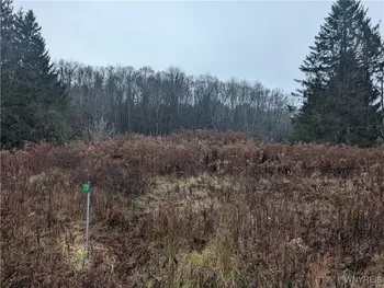 Property at 7739 Jackson Road, Franklinville, NY 14737