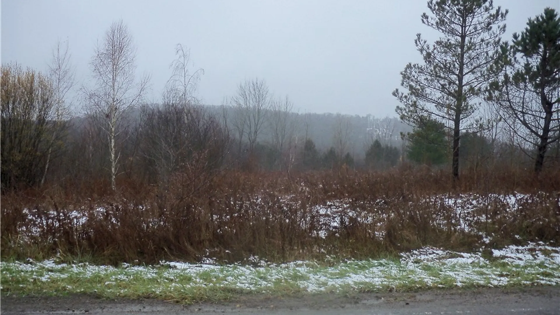 Property at Hardy Crn Road, Farmersville, NY 14737 2
