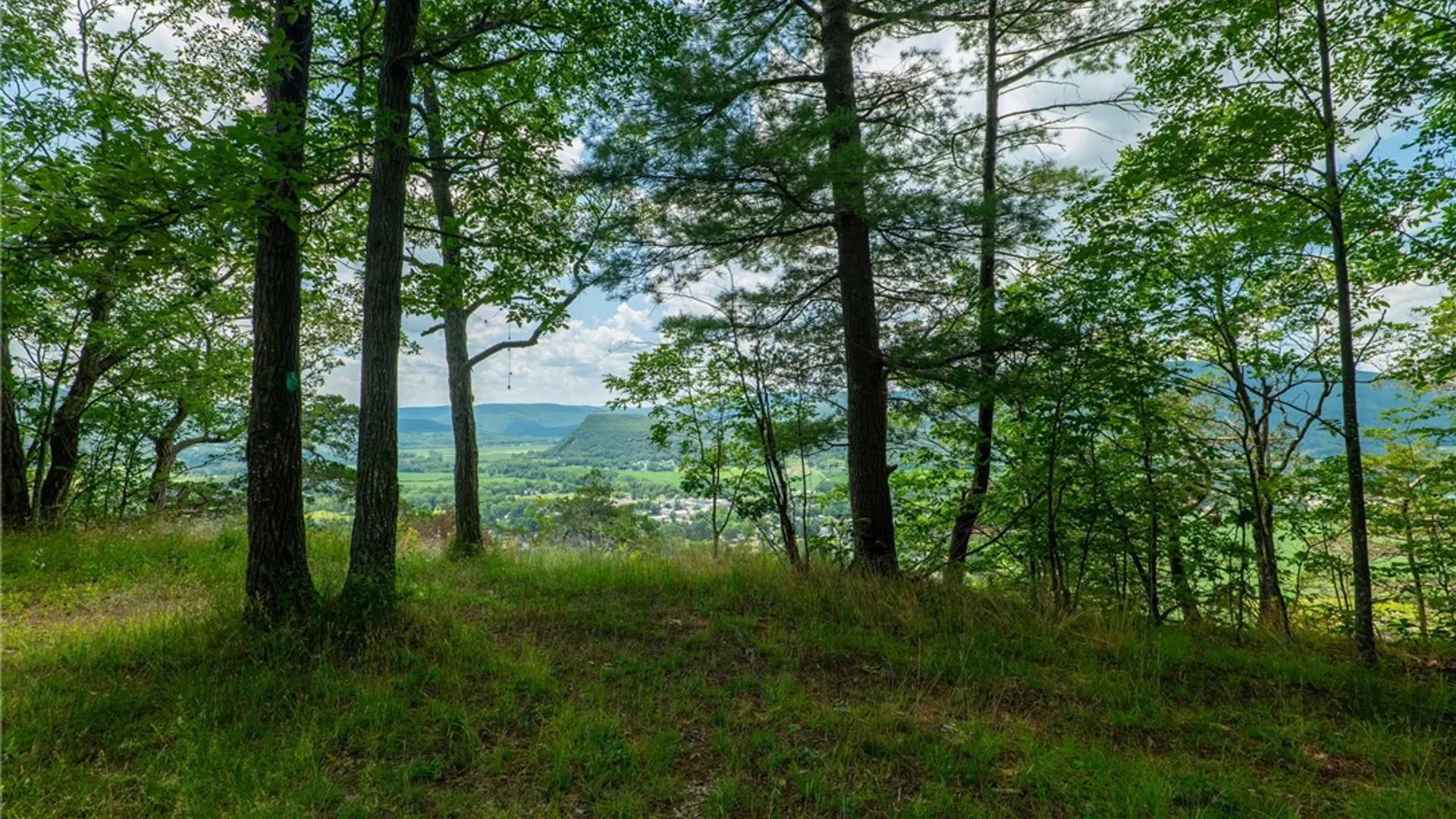 Property at L16 Mt Path, Middleburgh, NY 12122 16