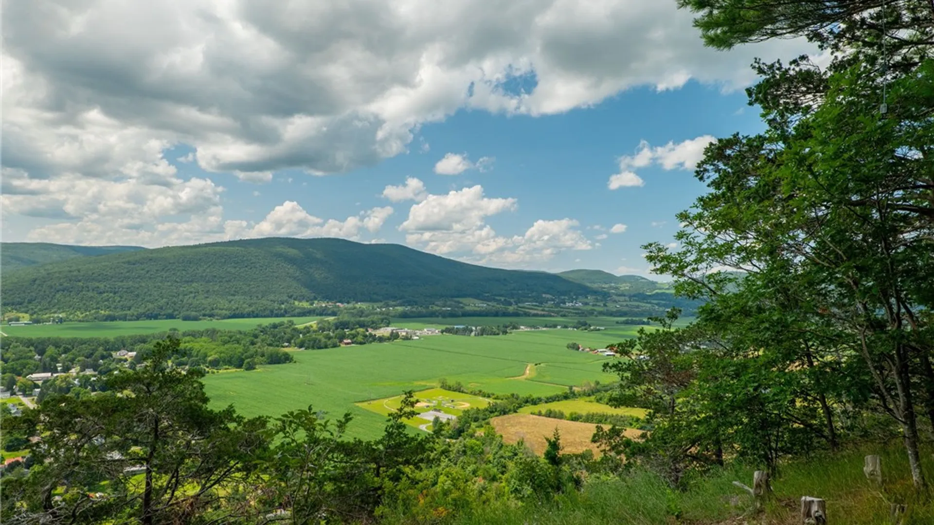 Property at L16 Mt Path, Middleburgh, NY 12122 17