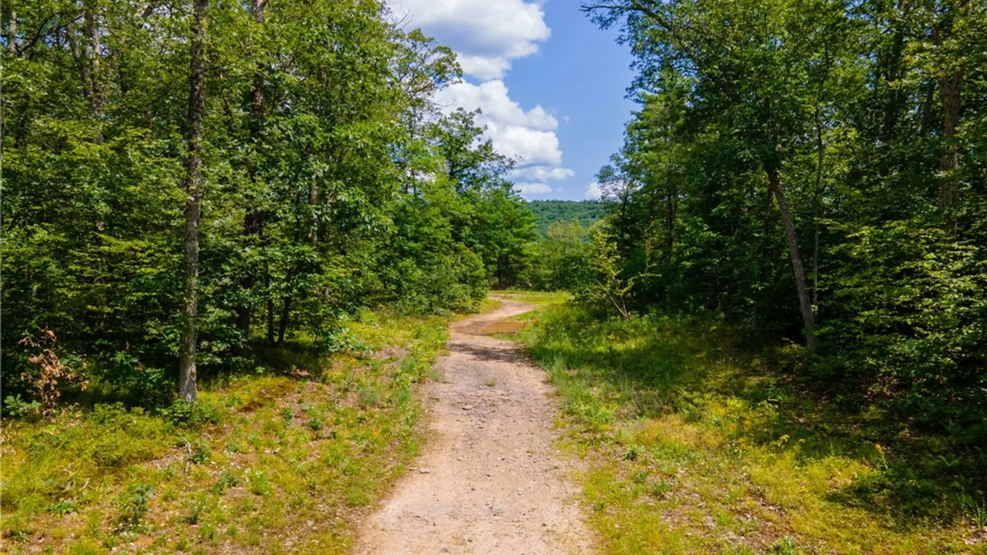 Property at L16 Mt Path, Middleburgh, NY 12122 2