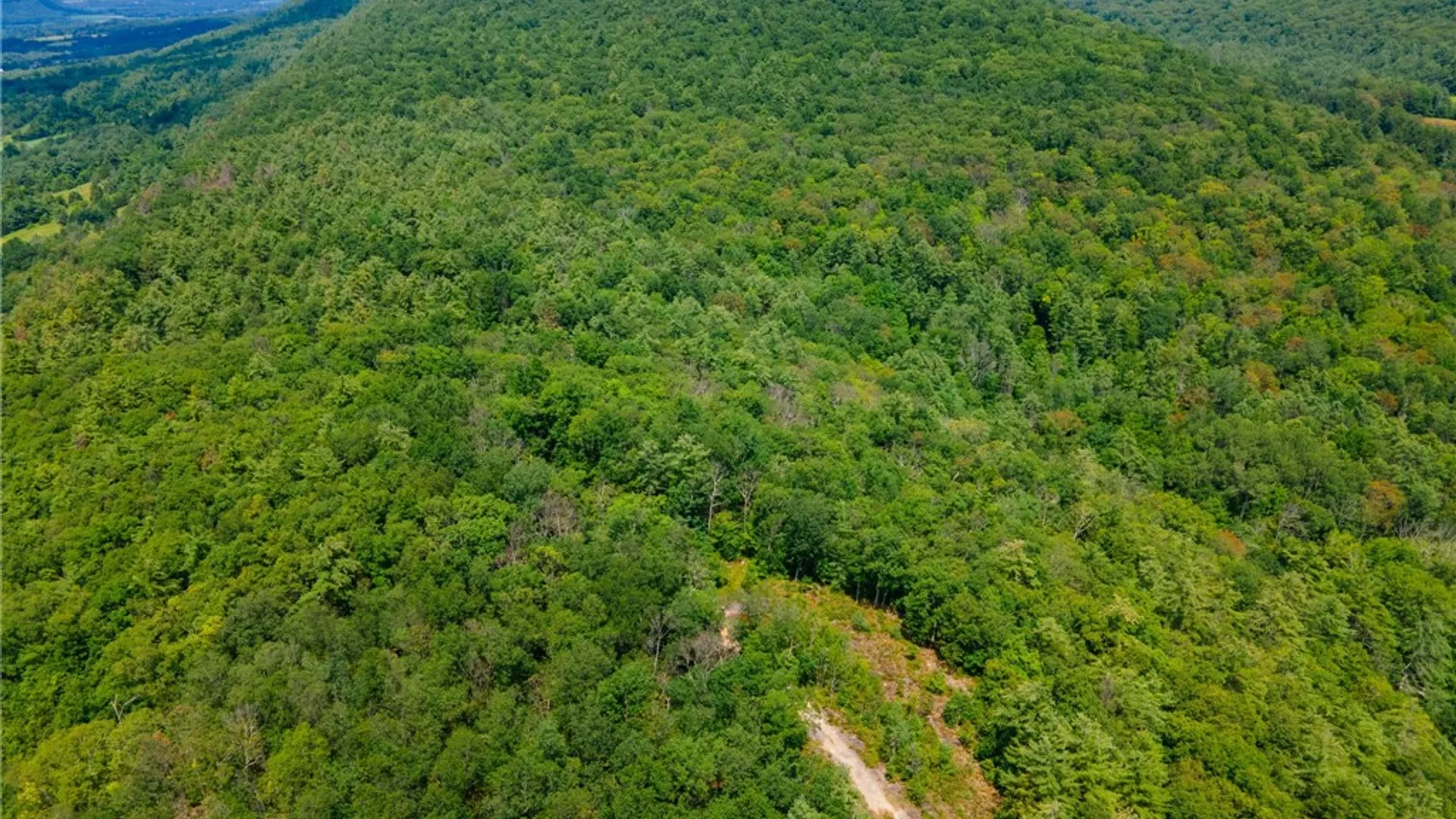 Property at L16 Mt Path, Middleburgh, NY 12122 20