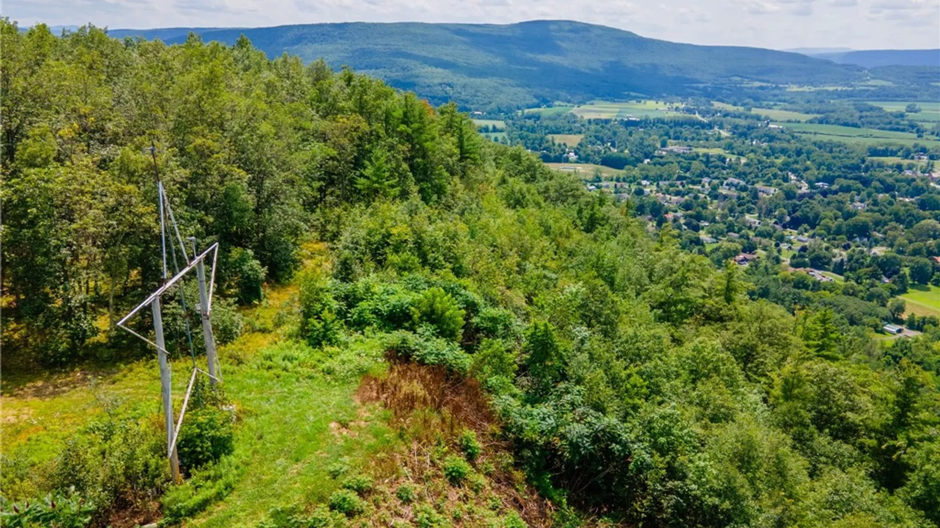 Property at L16 Mt Path, Middleburgh, NY 12122 22