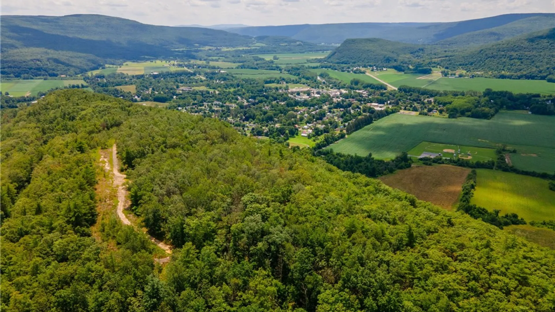 Property at L16 Mt Path, Middleburgh, NY 12122 24