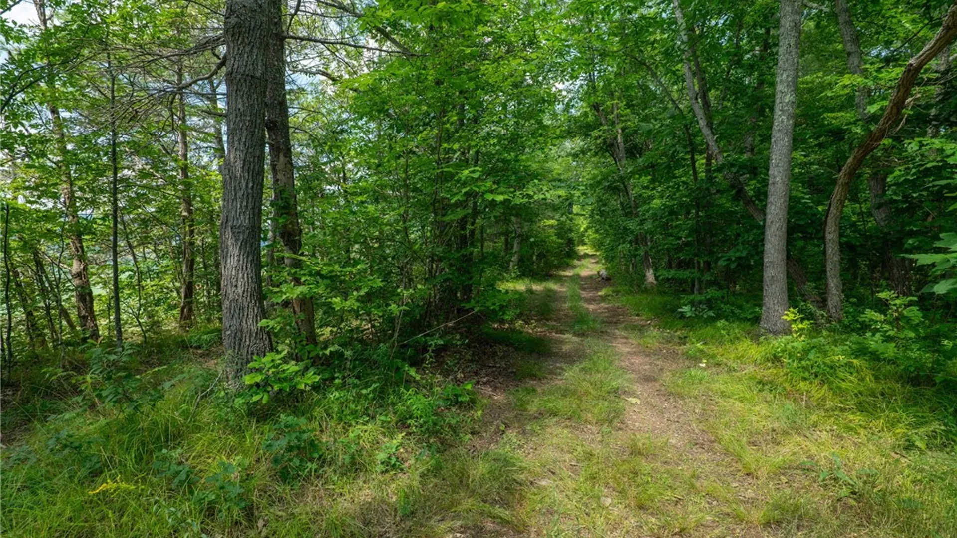 Property at L16 Mt Path, Middleburgh, NY 12122 3