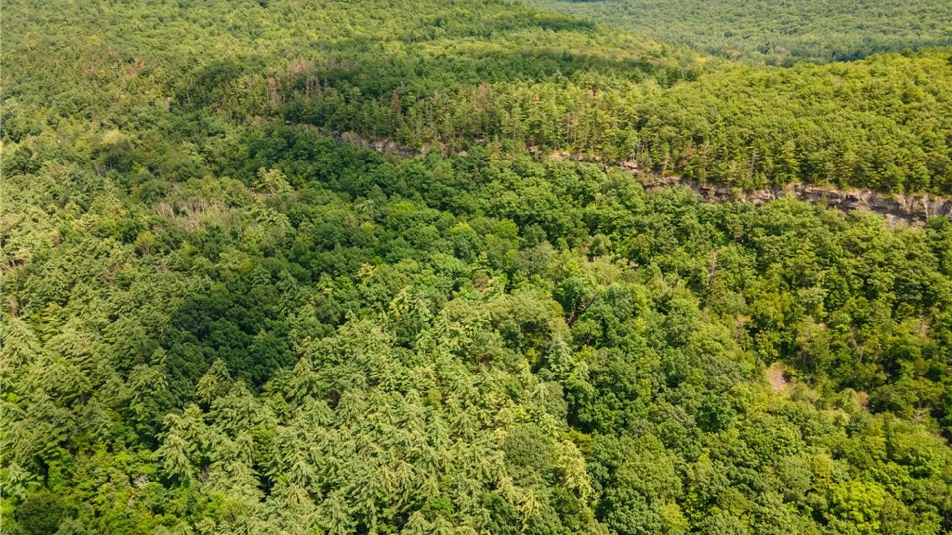 Property at L16 Mt Path, Middleburgh, NY 12122 7