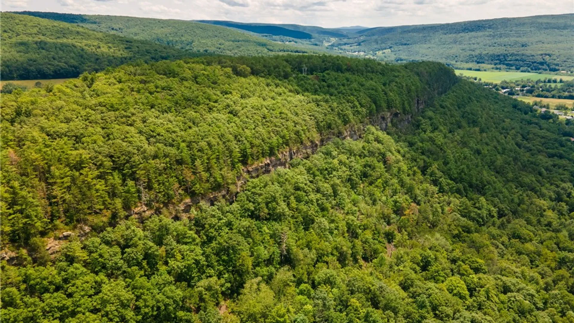 Property at L16 Mt Path, Middleburgh, NY 12122 8