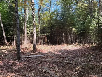 Property at Lot #1 Beaver Trail, Boonville, NY 13301