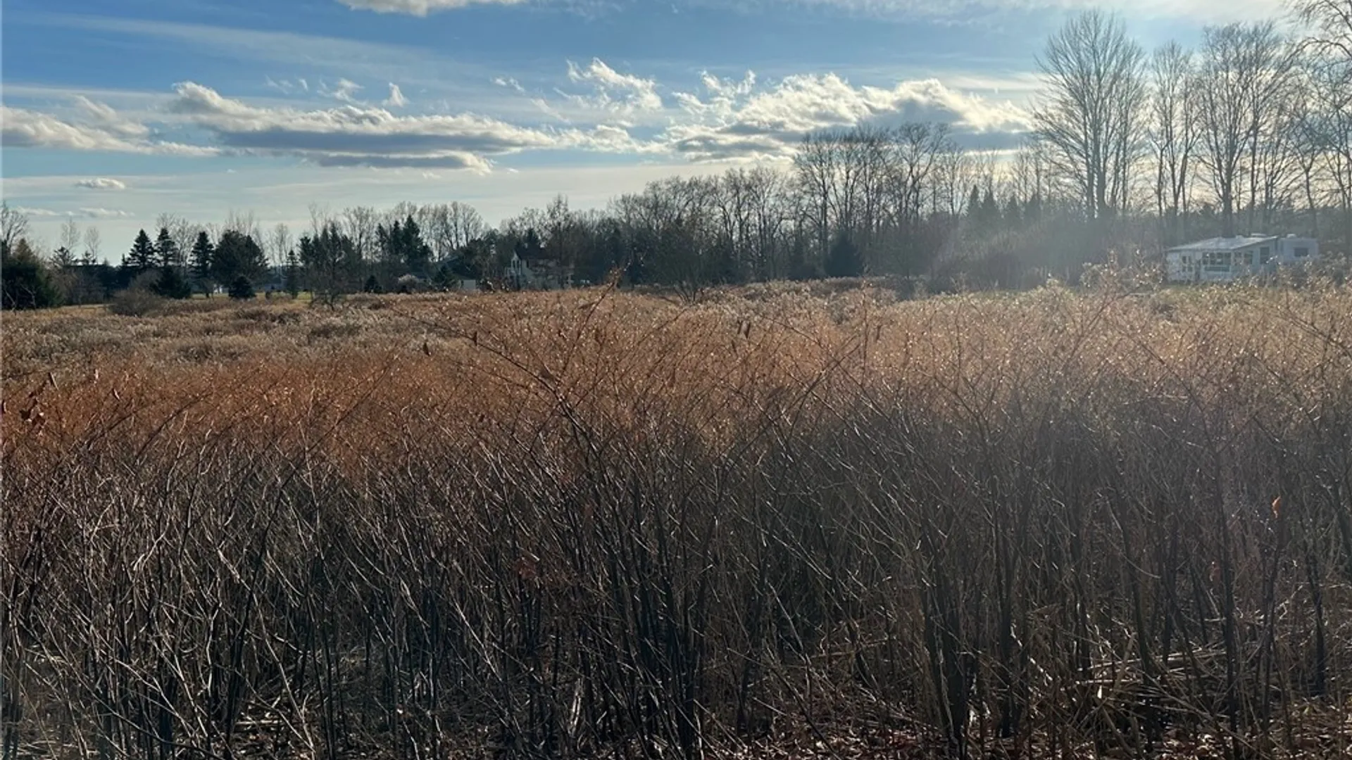 Property at Stokes Westernville Road, Western, NY 13486 3
