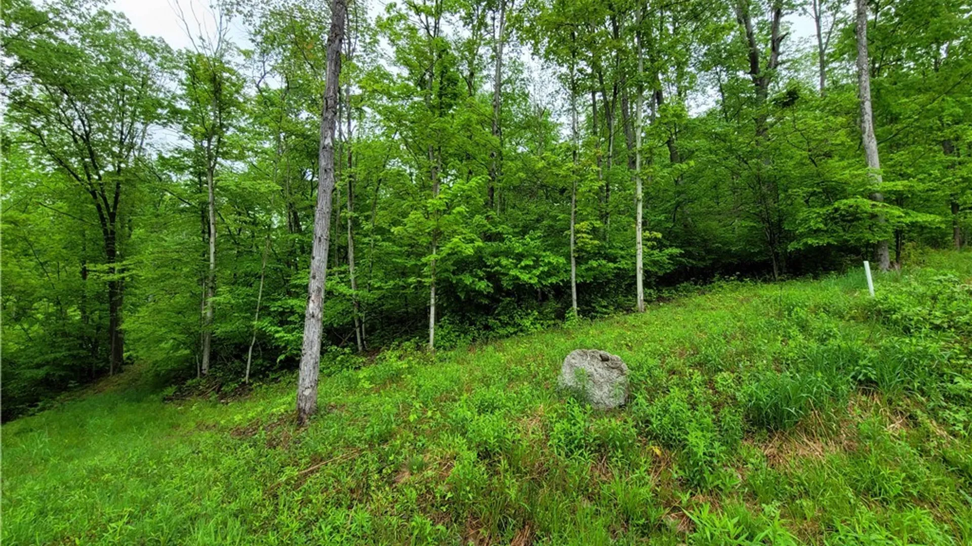 Property at 0 Co Road 24- Lot 1, Grove, NY 14884 2