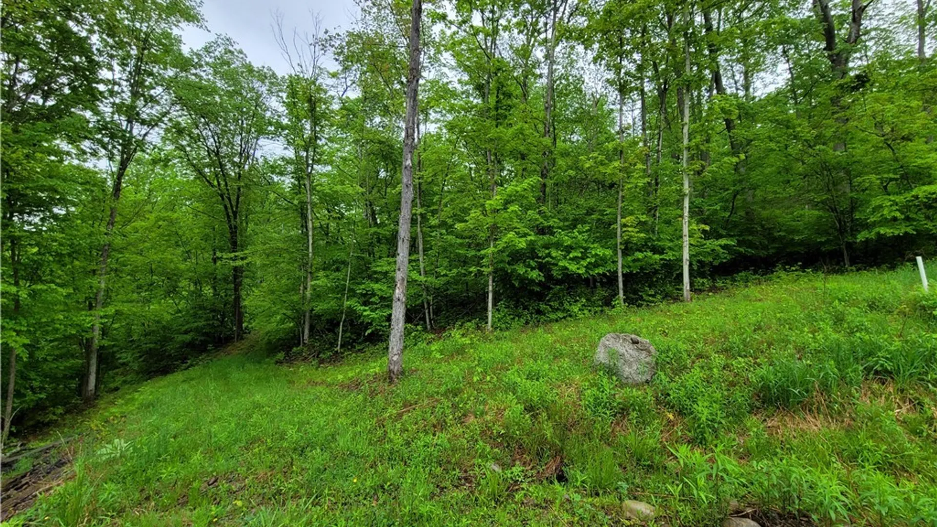 Property at 0 Co Road 24- Lot 1, Grove, NY 14884 3