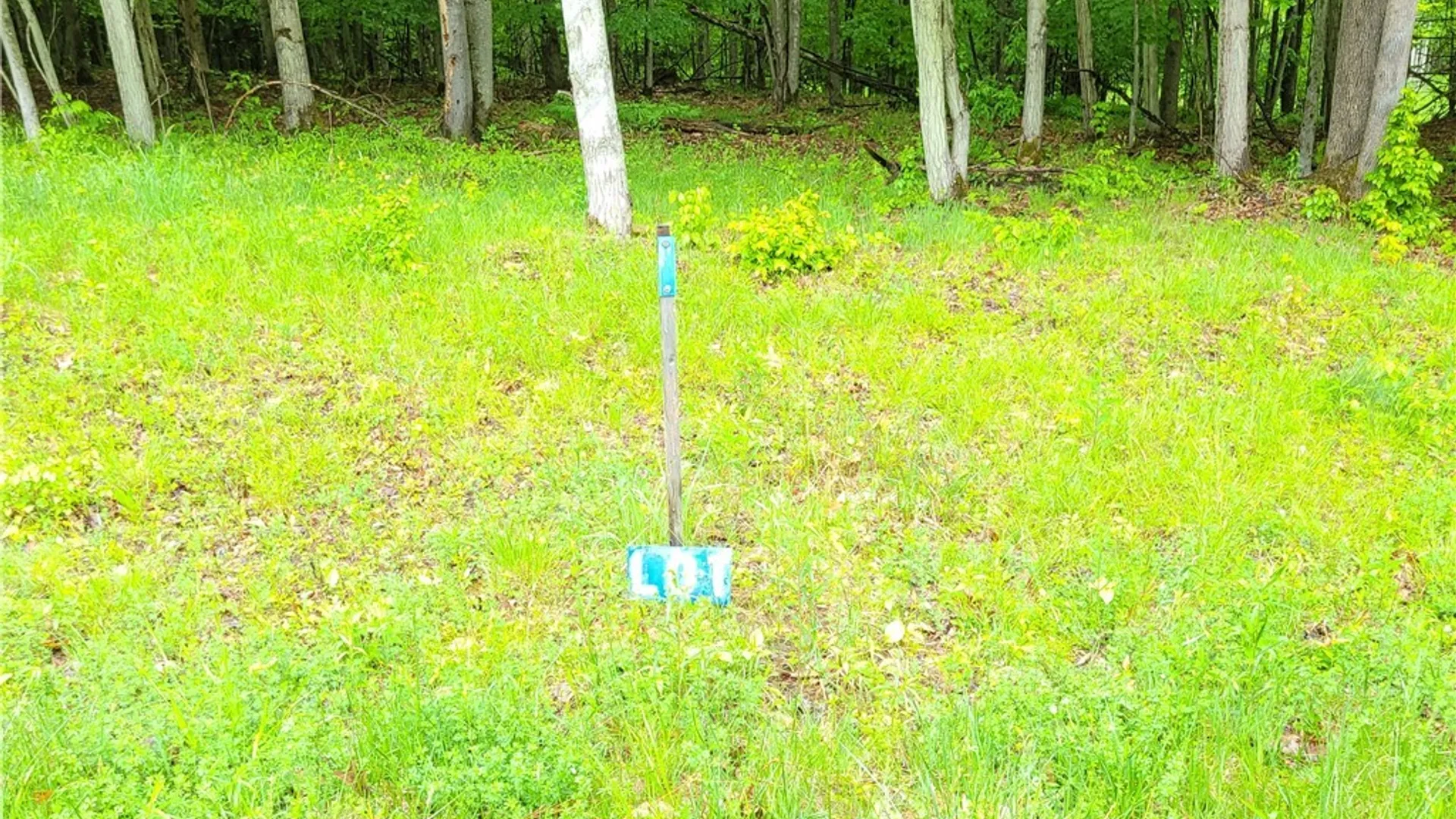 Property at 0 Cr-24- Lot 18, Grove, NY 14884 2