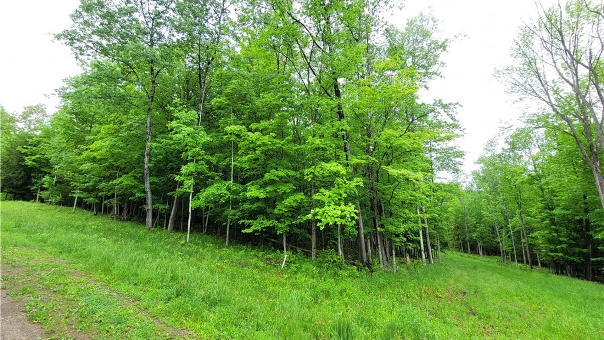 Property at 0 Cr-24- Lot 18, Grove, NY 14884 4