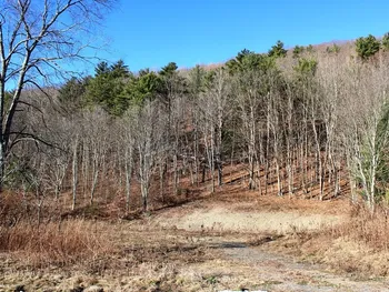 Property at 8555 State Highway 7, Maryland, NY 12155