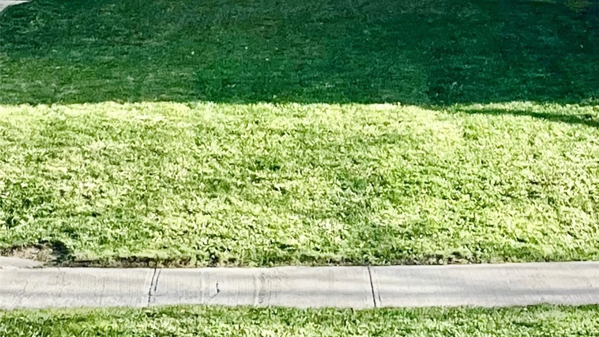 Property at 231 Oxford Avenue, Buffalo, NY 14209 2