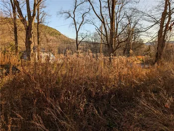 Property at 197 Phoenix Mills Road, Otsego, NY 13326