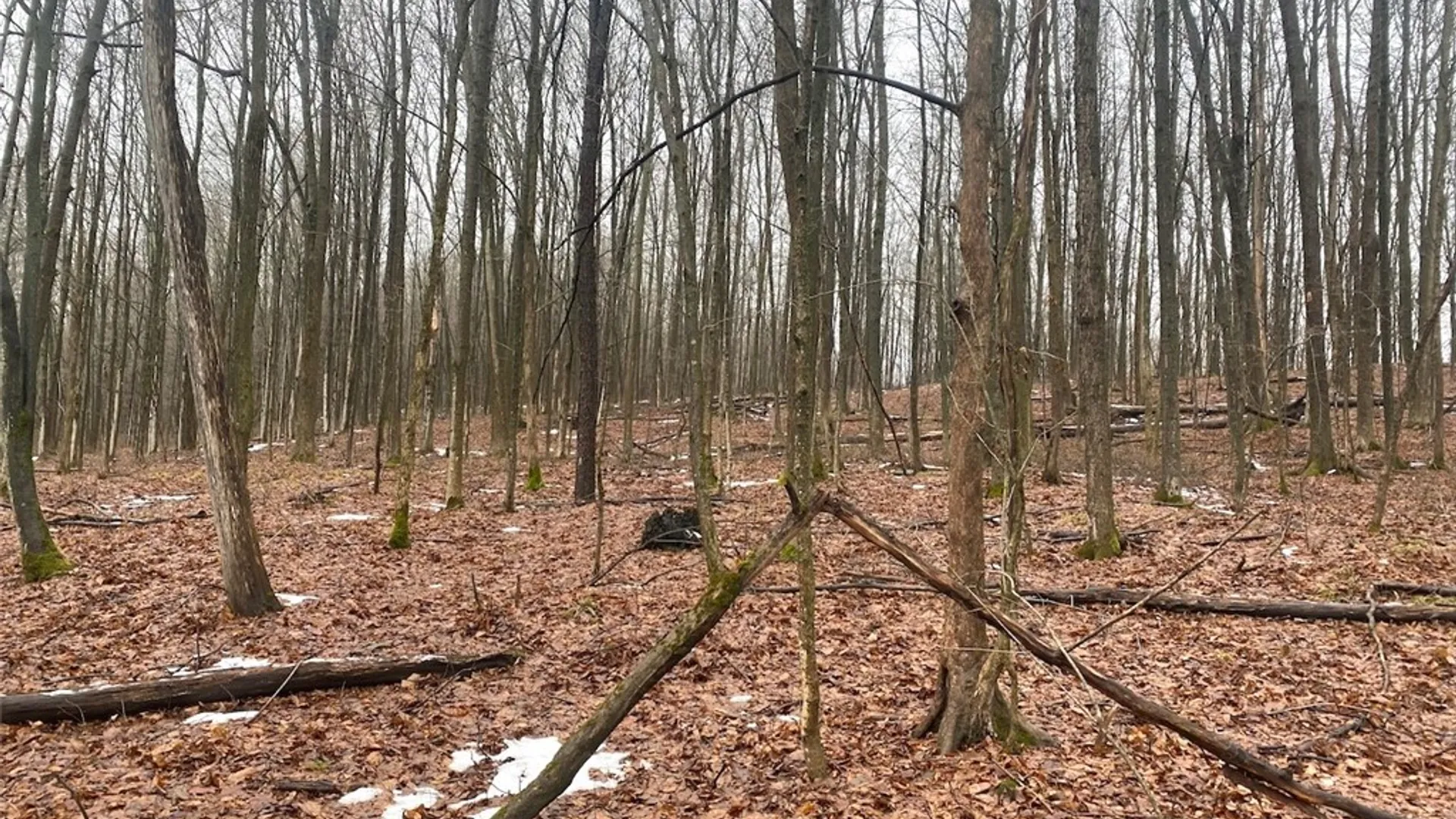 Property at 4409 State Route 275, Friendship, NY 14739 10