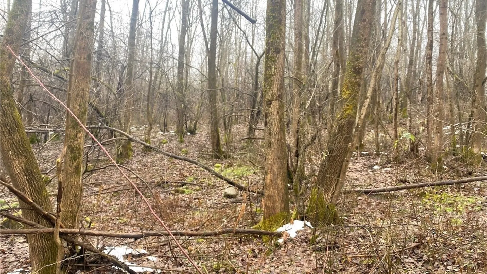 Property at 4409 State Route 275, Friendship, NY 14739 12