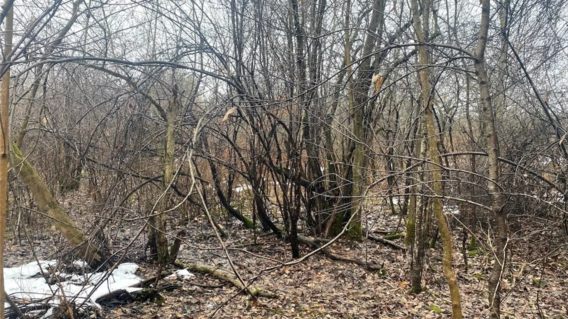 Property at 4409 State Route 275, Friendship, NY 14739 15