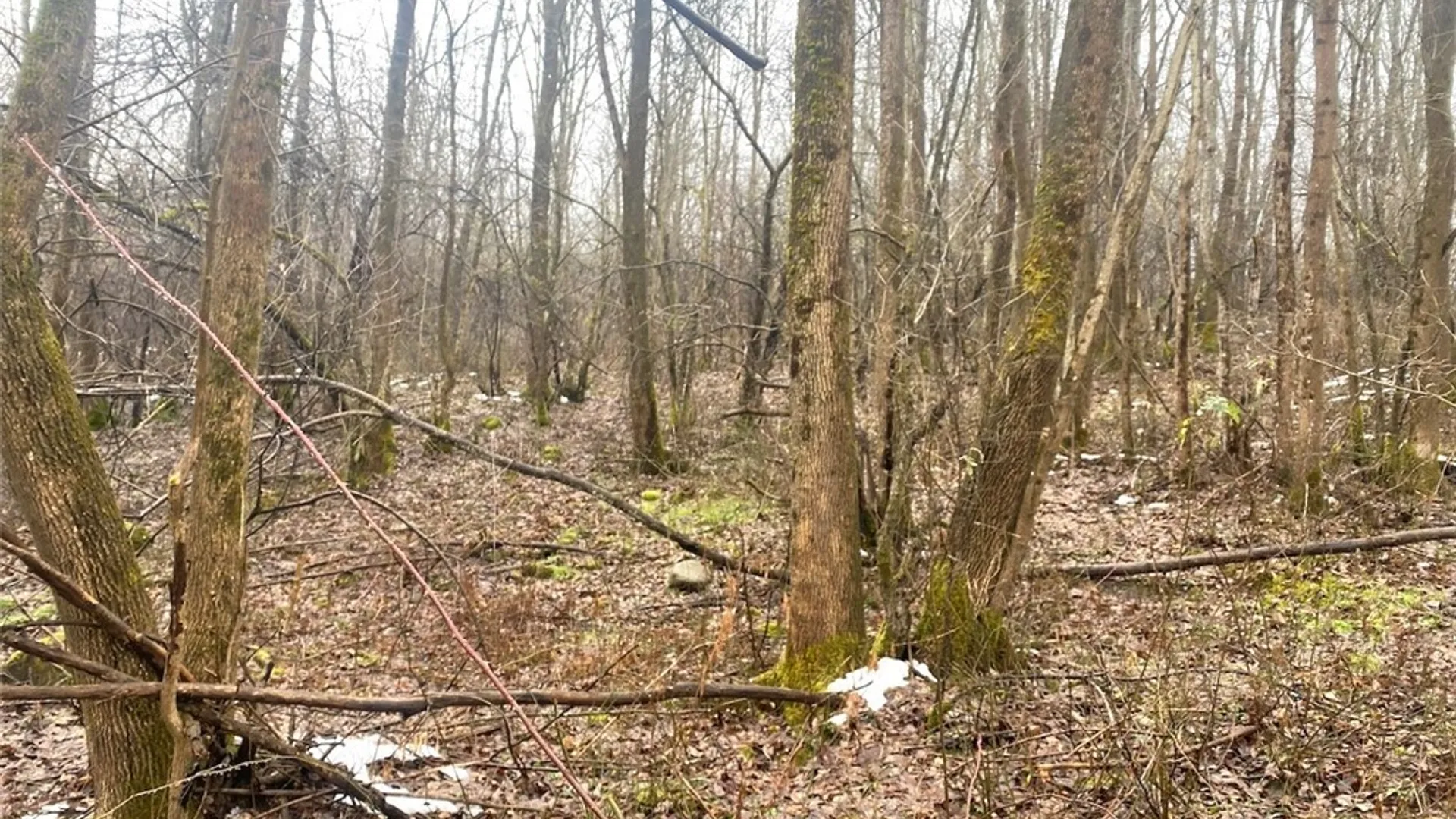 Property at 4409 State Route 275, Friendship, NY 14739 17