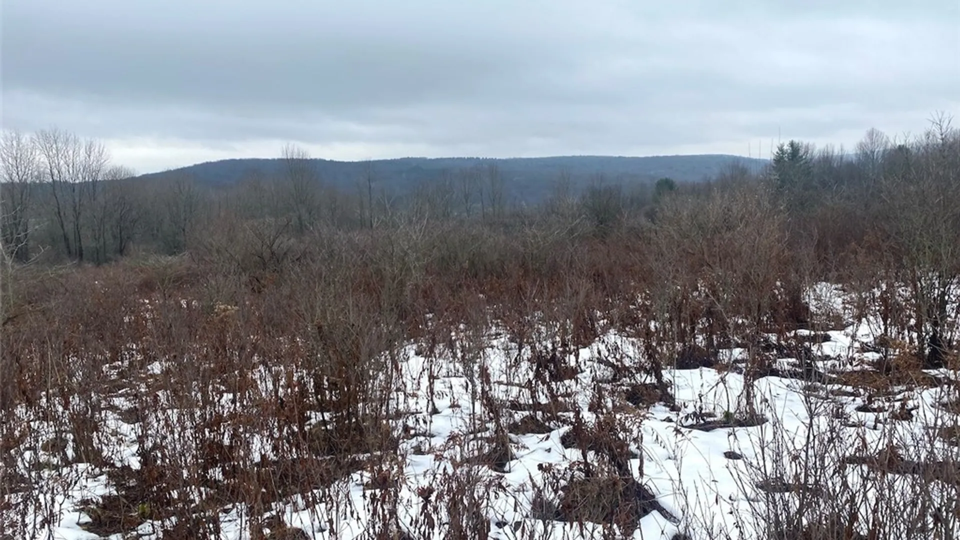 Property at 4409 State Route 275, Friendship, NY 14739 3