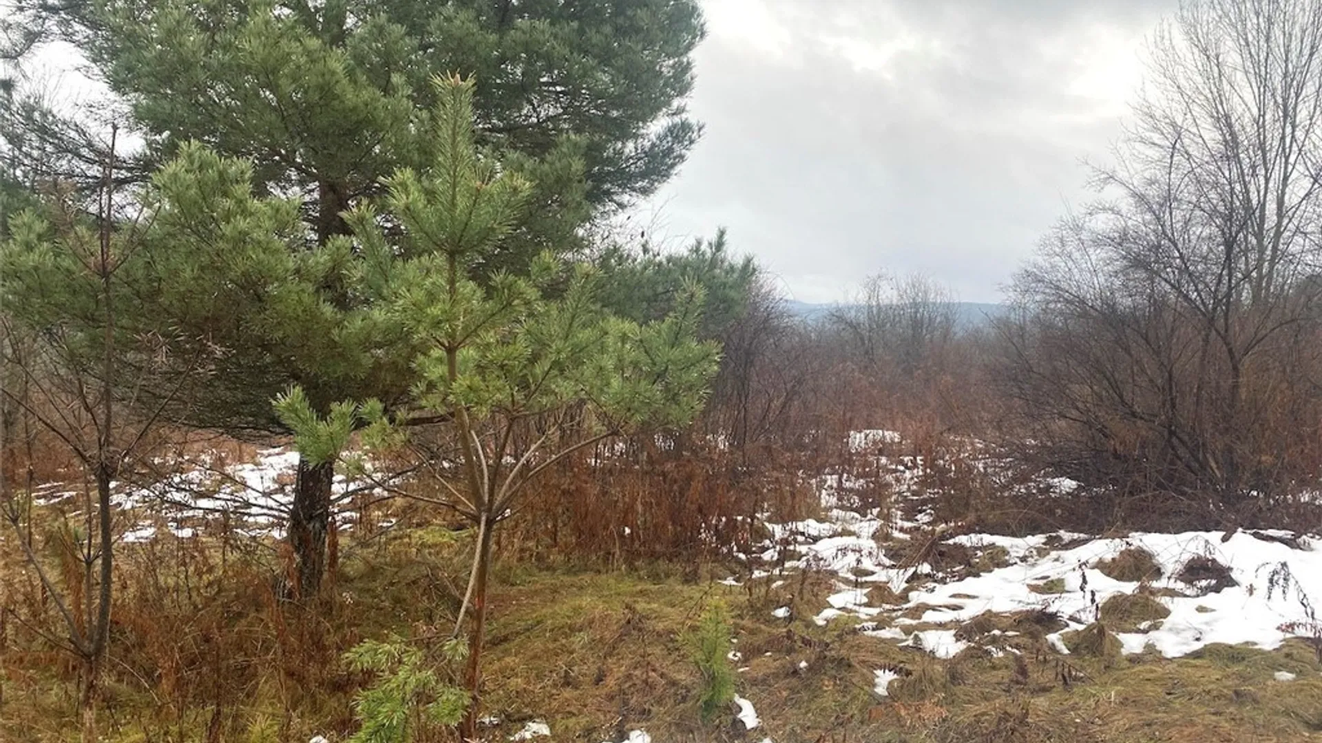 Property at 4409 State Route 275, Friendship, NY 14739 5