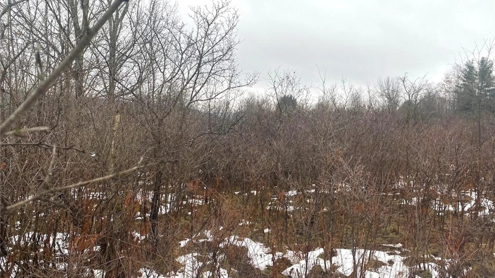 Property at 4409 State Route 275, Friendship, NY 14739 7