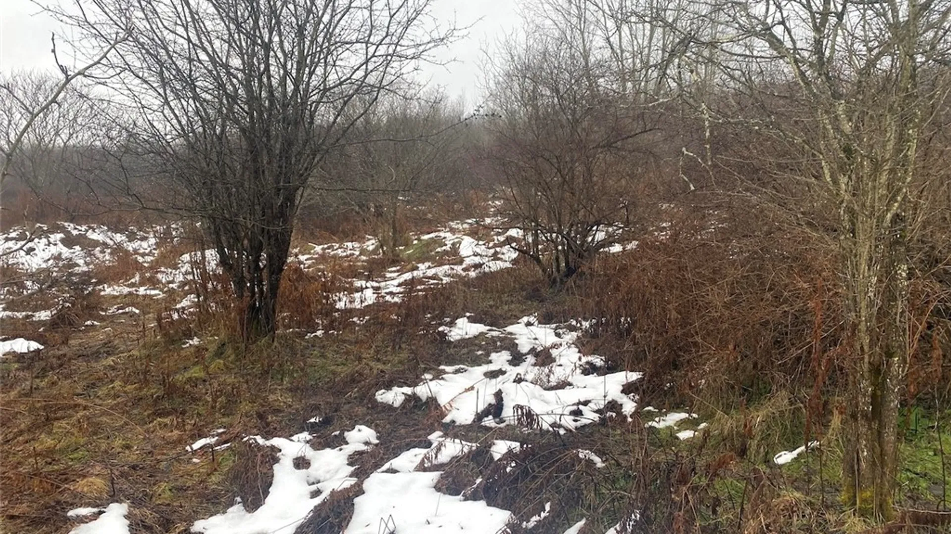 Property at 4409 State Route 275, Friendship, NY 14739 9