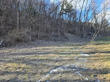 Property at 6600 County Road 36, Canadice, NY 14471