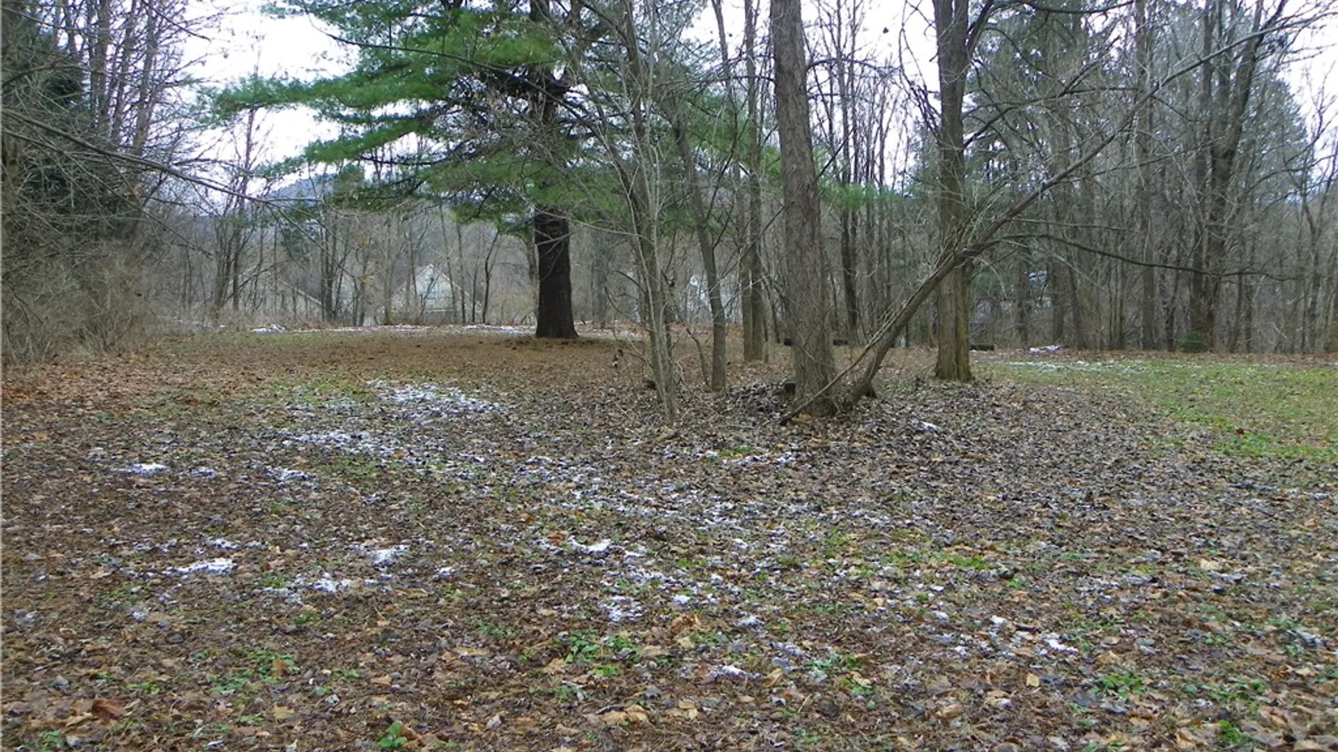 Property at 416 E Washington Street, Bath, NY 14810 23