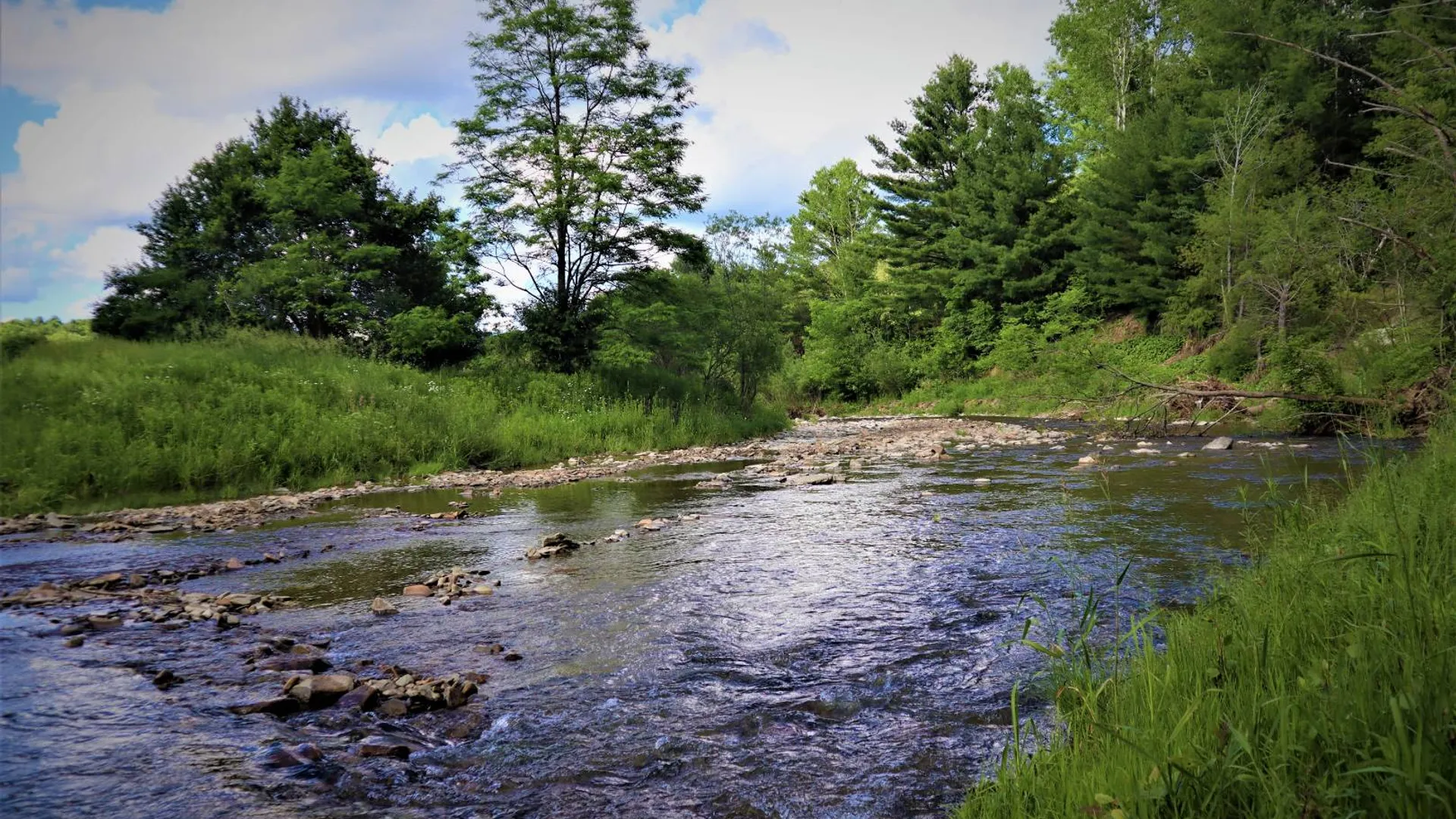 Property at 3606 Knights Creek Rd, Scio, NY 14880 17