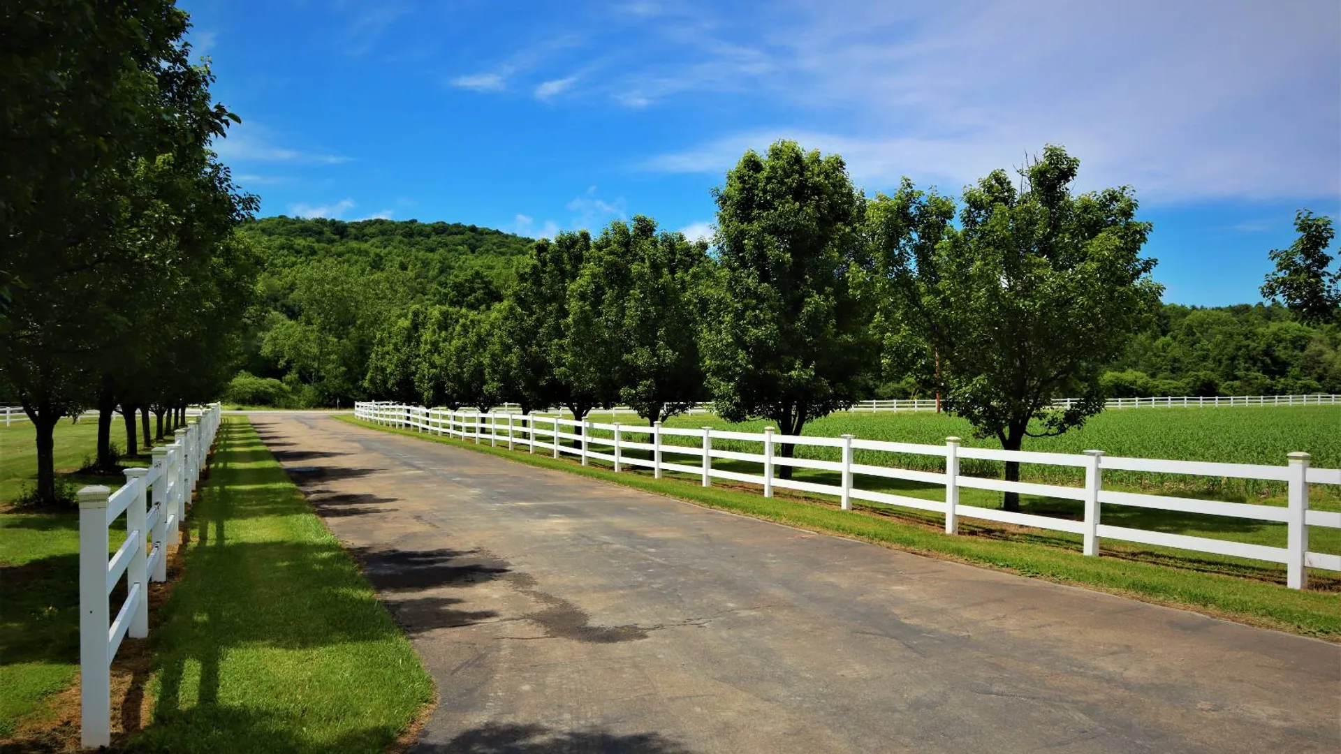 Property at 3606 Knights Creek Rd, Scio, NY 14880 4