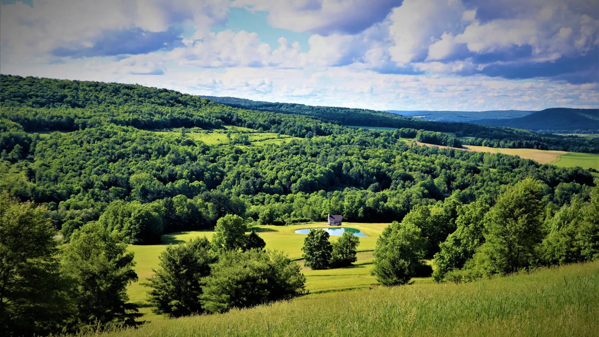 Property at 3606 Knights Creek Rd, Scio, NY 14880 47