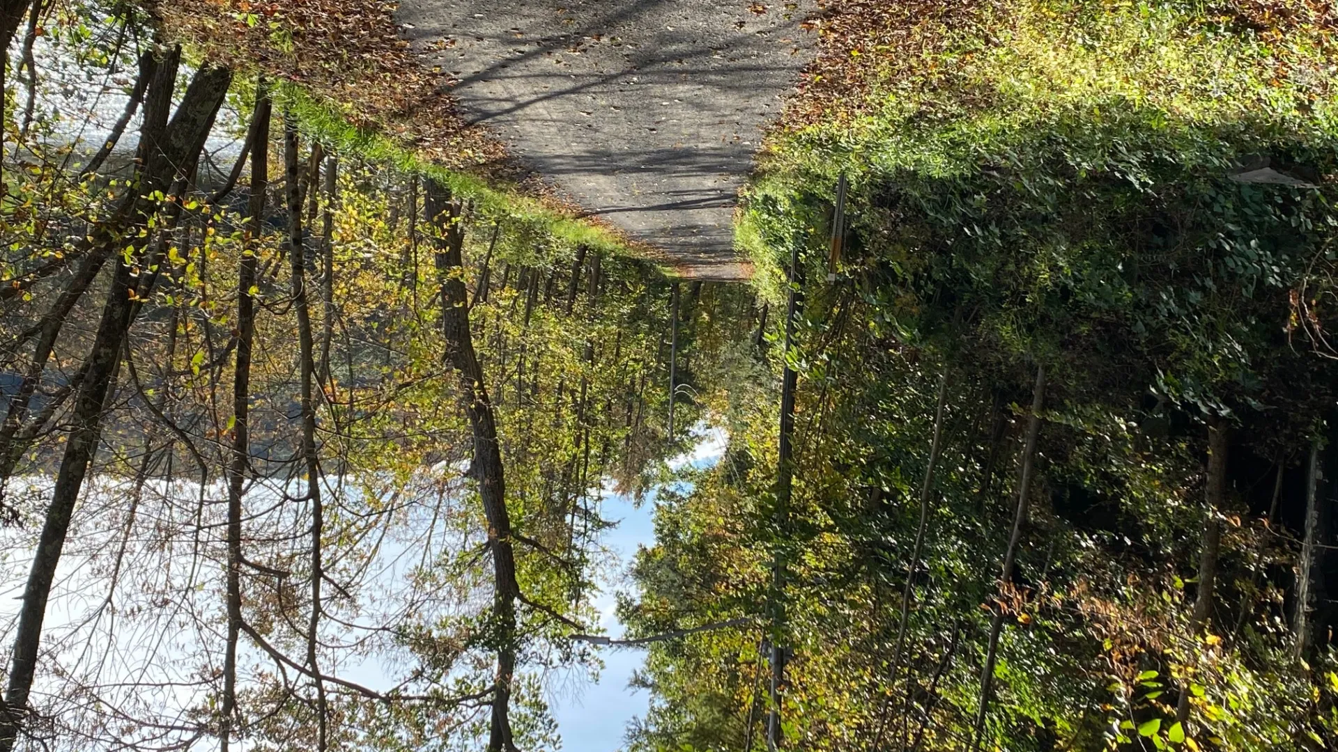 Property at 0 Yendes, Hancock, NY 13783 16