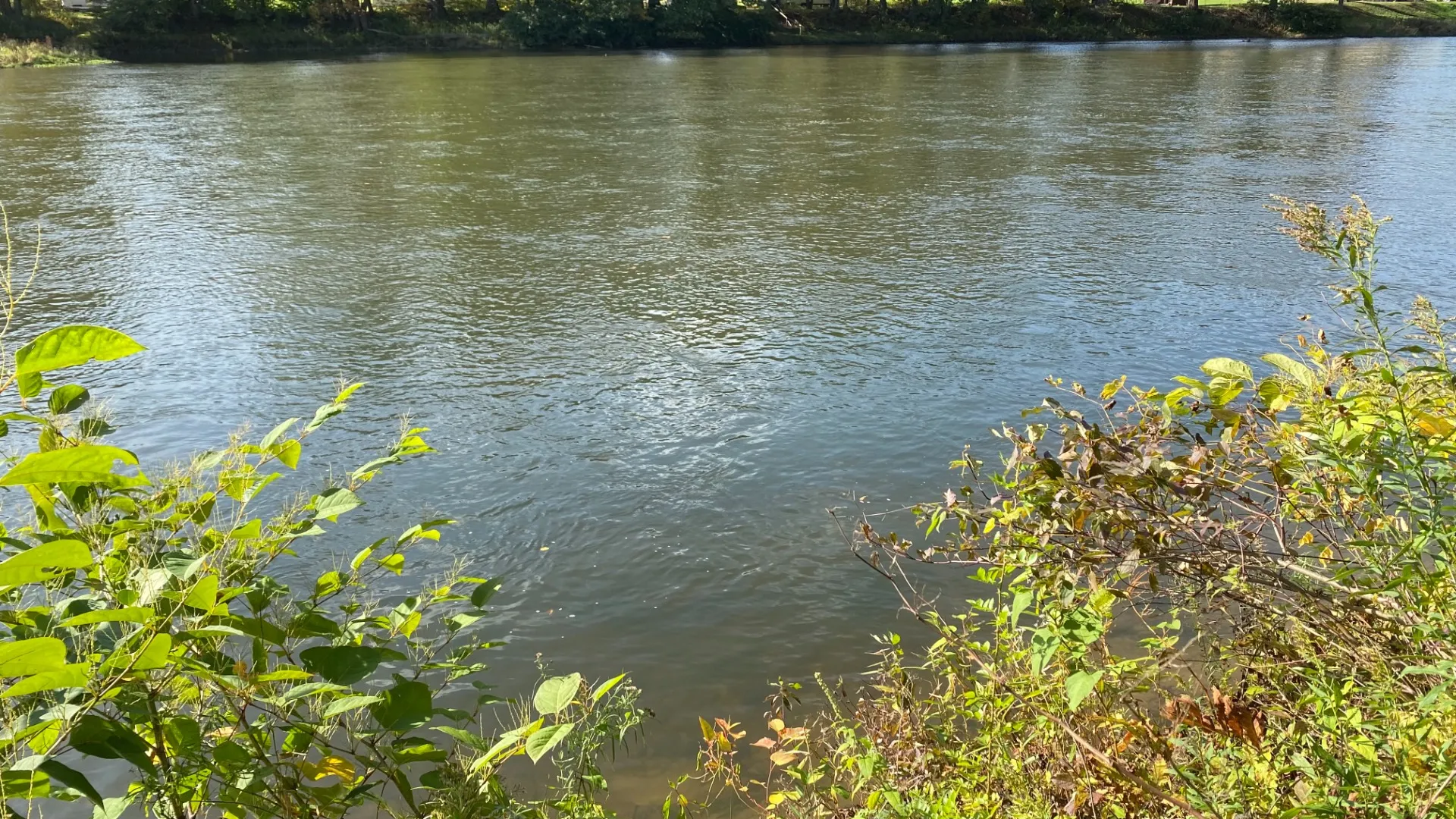 Property at 0 Yendes, Hancock, NY 13783 18