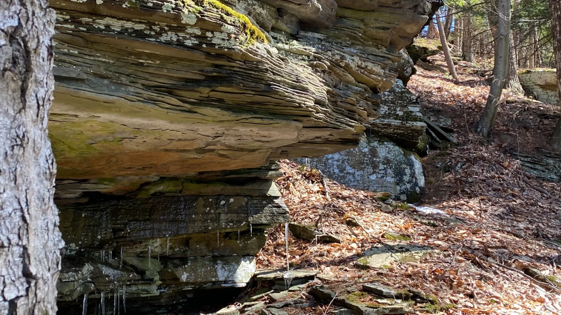 Property at 0 Yendes, Hancock, NY 13783 5