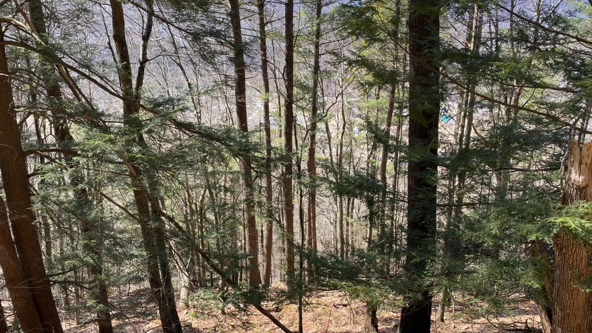 Property at 0 Yendes, Hancock, NY 13783 7