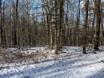 Property at 6975 Echo Mountain Road, Canadice, NY 14560