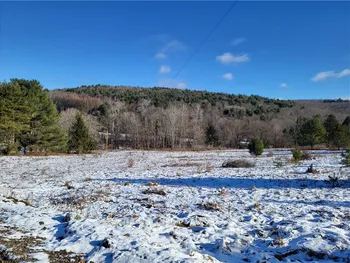Property at 0 Mary Brown Hill Road, Laurens, NY 13796