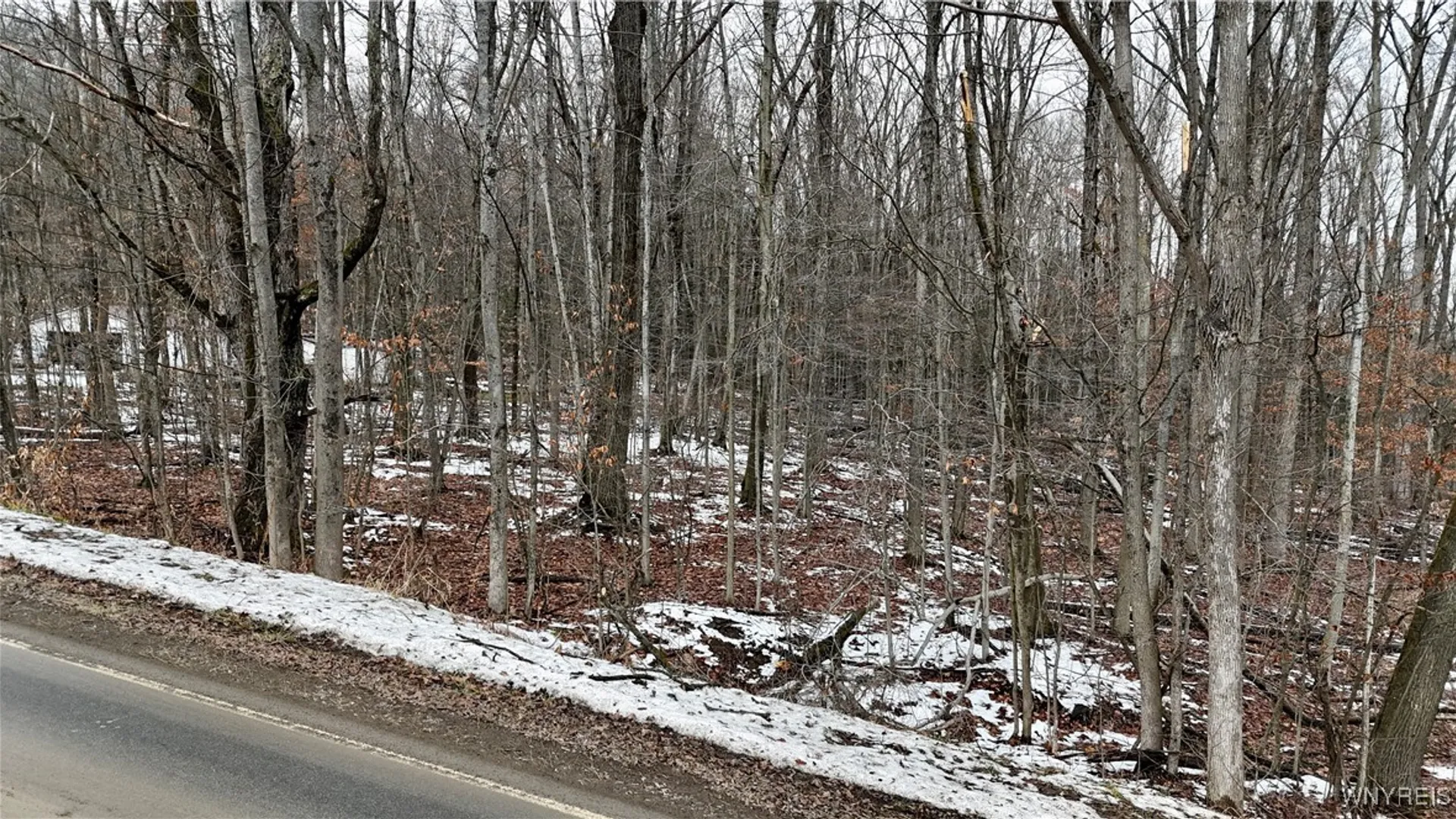 Property at Cr-49, Caneadea, NY 14717 2