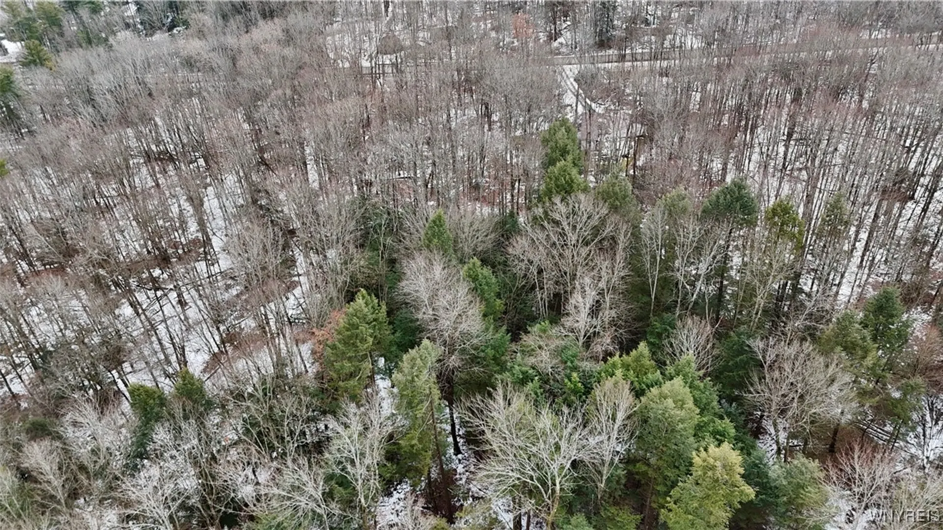 Property at Cr-49, Caneadea, NY 14717 7