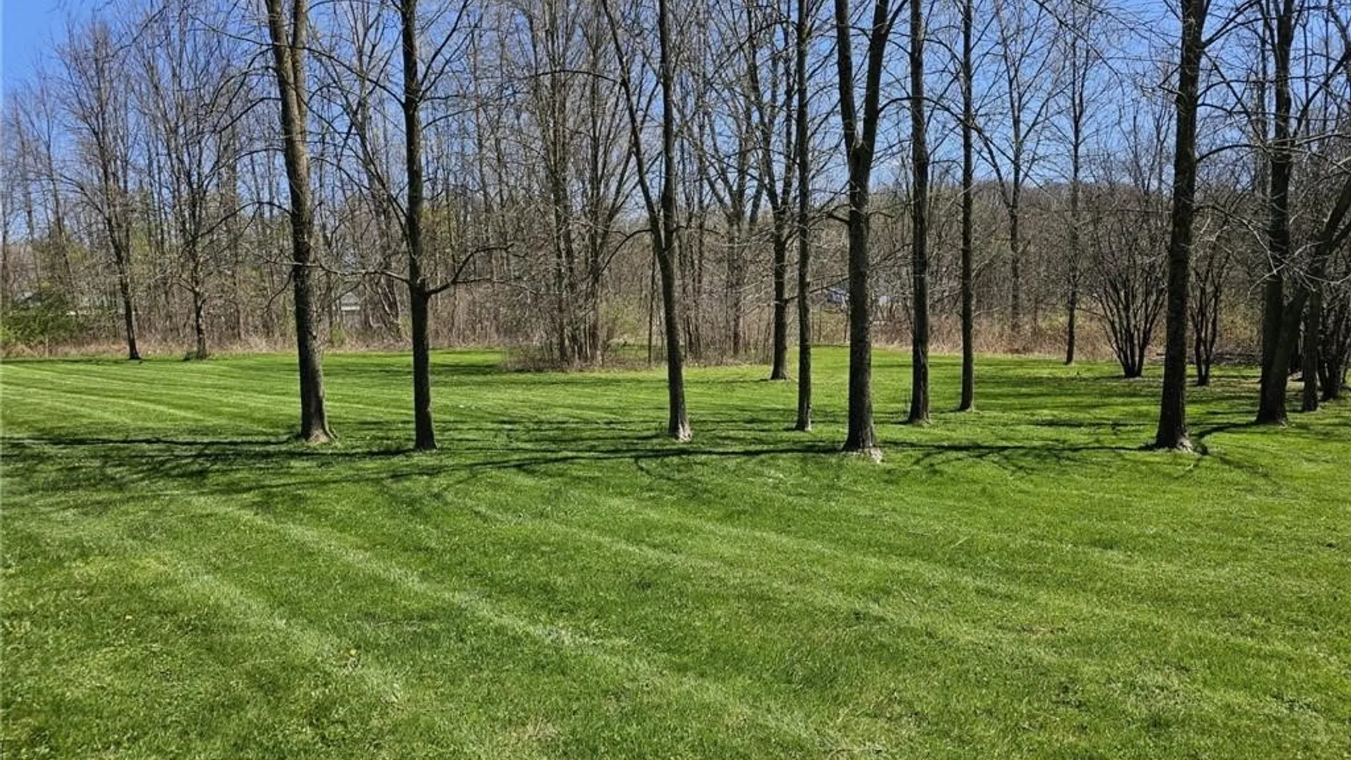 Property at 0 State Route 5, Elbridge, NY 13166 7