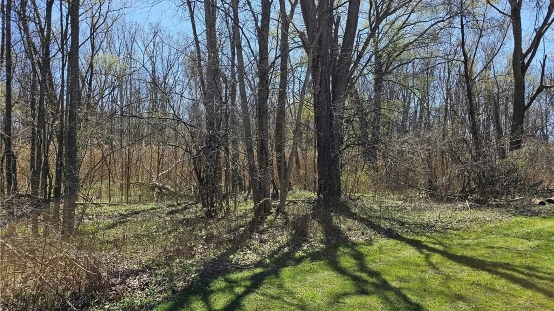 Property at 0 State Route 5, Elbridge, NY 13166 9