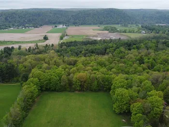 Property at 170 Fisher Settlement Road, Spencer, NY 14883